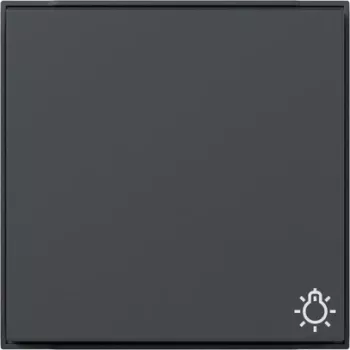 Gira TX44 vippe med lyssymbol og kontrol-LED, antracit 328567