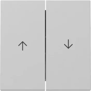 GIRA vippe 3294015 2-fag pil System 55 grå mat