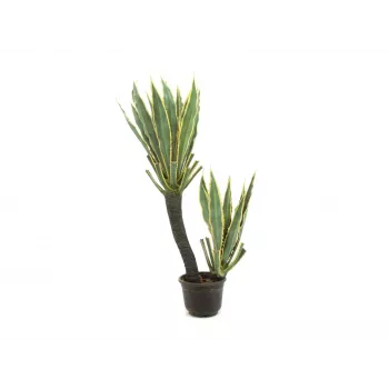 EUROPALMS orkidekaktus kunstplante, 160cm 82809035