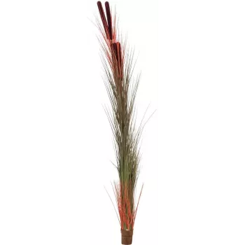 EUROPALMS kunstigt rørgræs med kolber, lysebrun, 152cm 82505856