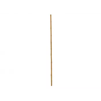 EUROPALMS bambusstang, Ø 3 cm, længde 200 cm 83313200