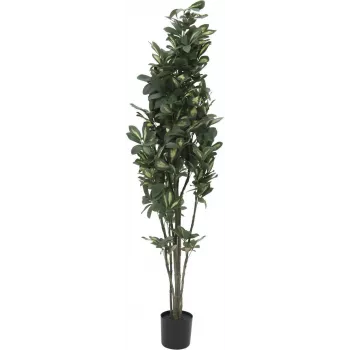 EUROPALMS Schefflera kunstplante, 120 cm, grøn 82600157
