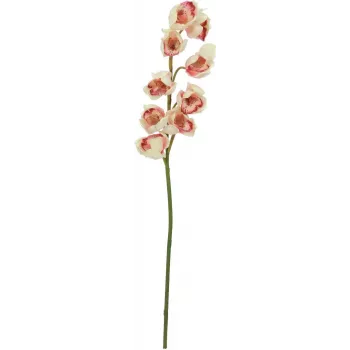EUROPALMS kunstig Cymbidium-gren, creme-pink, 90cm 82530311