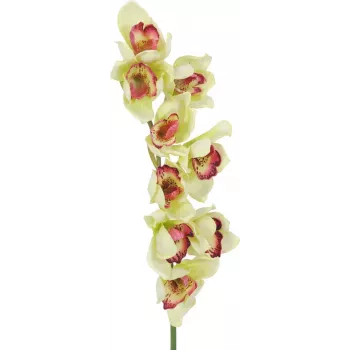 EUROPALMS kunstig Cymbidium-orkidégren, grøn, 90cm 82530313