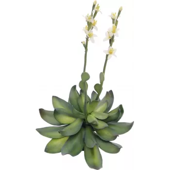 EUROPALMS Stone Rose (EVA) kunstplante, gul, 32cm 82530573