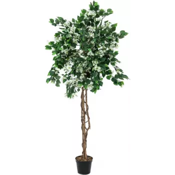 EUROPALMS Bougainvillea kunstplante, hvid, 180 cm 82507086