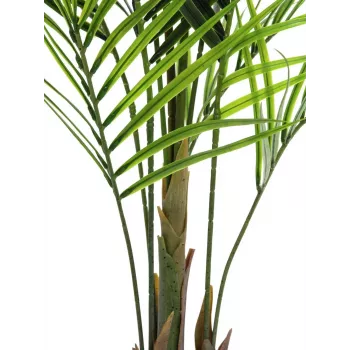 EUROPALMS storbladet Areca-kunstplante, 165cm 82509441
