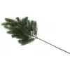 EUROPALMS gran gren, PE, 65 cm 83500420