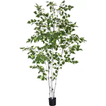 EUROPALMS kunstig birk, 210 cm 82505232