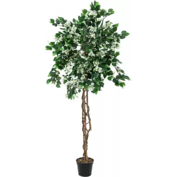 EUROPALMS Bougainvillea kunstplante, hvid, 150 cm 82507085