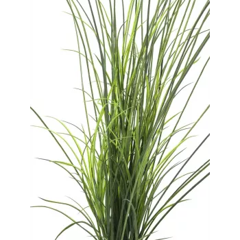 EUROPALMS Artificial Reed Grass, 145cm, Green/Brown, Pre-Potted 82600229