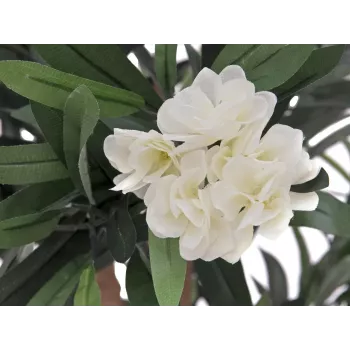 EUROPALMS Oleander Tree, Artificial Plant, White, 120 cm (82507246)