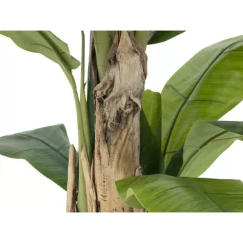 EUROPALMS kunstig banantræ, 170 cm, grønne blade, sort potte 82509539