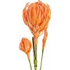 EUROPALMS kunstig dahlia-gren (EVA), orange 82530582
