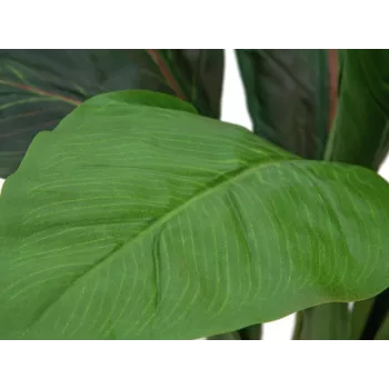 EUROPALMS kunstig bladbede-busk, 45 cm, grøn 82508302
