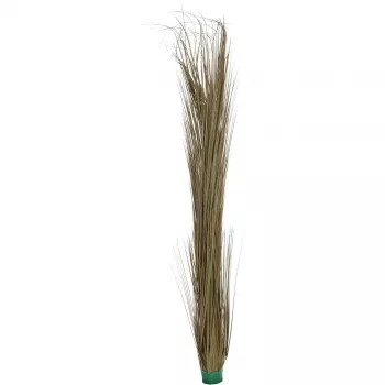 EUROPALMS Artificial Reed Grass, Khaki, 127 cm 82505853