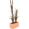 EUROPALMS Kunstigt rørgræs med kolbe, mørkebrun, 152 cm 82505857