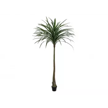 EUROPALMS Dracena Kunstig plante, grøn, 220 cm 82505798
