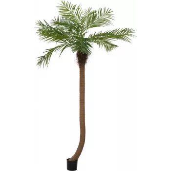EUROPALMS Luxor Buet Kunstig Phoenix-palme, 240 cm 82510726