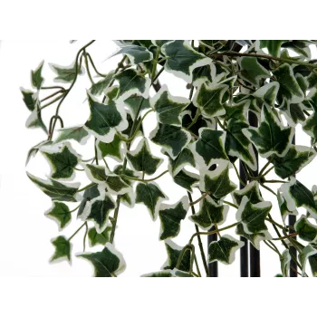 EUROPALMS Holland Ivy Hedge Screen Classic, Artificial, 60cm 82502210
