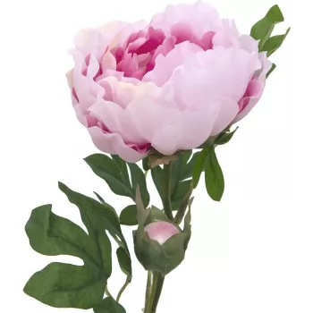 EUROPALMS Peony Branch Classic, Kunstig plante, rosa, 80 cm 82530210