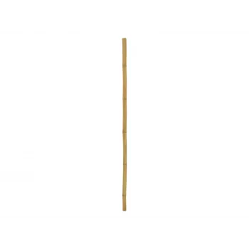 EUROPALMS bambusstang, Ø 5 cm, 200 cm 83313201