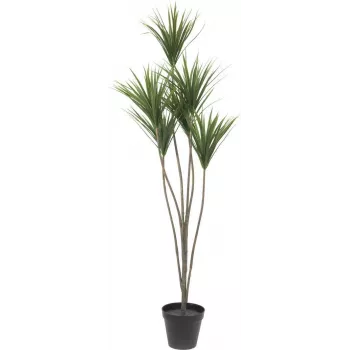 EUROPALMS Yucca Palm Artificial Plant, 130cm 82511552