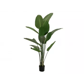 EUROPALMS Artificial Strelitzia, 170 cm 82540523