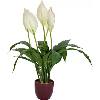 EUROPALMS Kunstig fredslilje, 60 cm 82505660