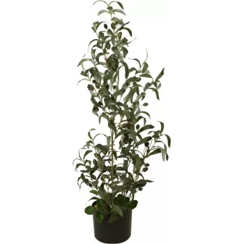 EUROPALMS Artificial Olive Tree, 90 cm 82506422