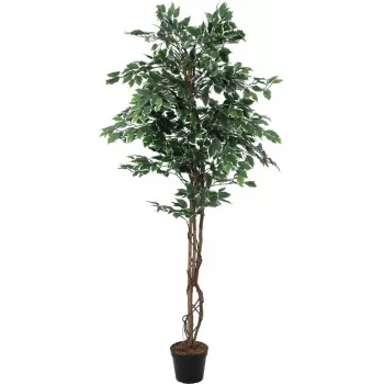 EUROPALMS Silberficus Benjamina Artificial Plant, 180 cm 82506116