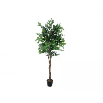 EUROPALMS Ficus Benjamina flerstammet kunstplante, 210 cm 82506127