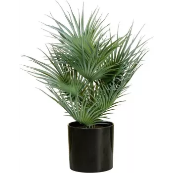 EUROPALMS Kunstig viftepalme i potte, 55 cm 82509401