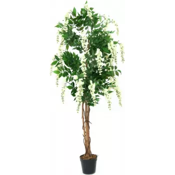EUROPALMS Goldregen kunstig plante, hvid, 150 cm (82507105)
