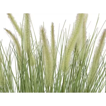 EUROPALMS Blomstrende kunstigt prydgræs, 70 cm, hvide blomster, sort potte 82600147
