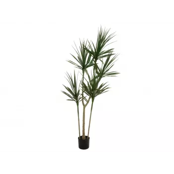EUROPALMS Dracena Kunstplante, grøn, 170 cm 82505799