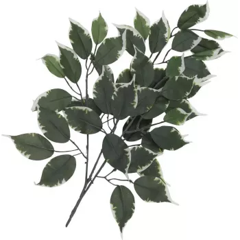 EUROPALMS Artificial Ficus Branch, 12-Pack 82506100