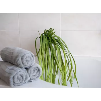 EUROPALMS Artificial Seagrass (EVA), Green 82531062
