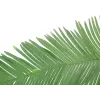 EUROPALMS Kunstig kokos-kongepalmeblad, 180 cm 82509847