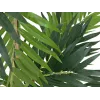EUROPALMS kunstplante palme, 150cm 82509495