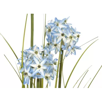 EUROPALMS Allium Grass Artificial Plant, Blue, 120 cm 82600168