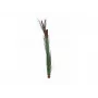 EUROPALMS kunstigt rørgræs med kolber, mørkegrøn, 152cm 82505854