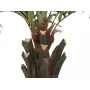 EUROPALMS Kentia-palme Deluxe kunstplante 300 cm 82511370