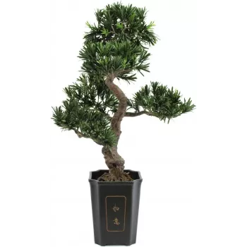 EUROPALMS Bonsai Podocarpus kunstig plante, 80 cm 82600116