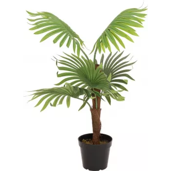 EUROPALMS viftepalme kunstplante, 88 cm, grøn, sort potte 82509301