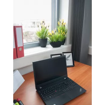 EUROPALMS kunstig havre rodplante, 40 cm 82505639