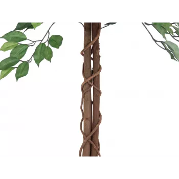 EUROPALMS Ficus Benjamina flerstammet kunstplante, 150 cm 82506125