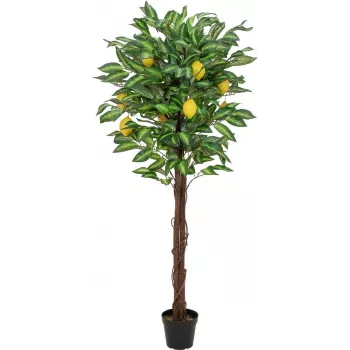 EUROPALMS kunstigt citrontræ, 150 cm 82507815
