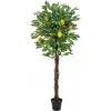 EUROPALMS kunstigt citrontræ, 150 cm 82507815