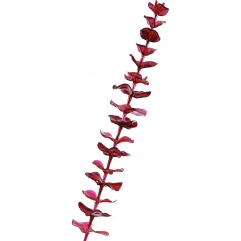 EUROPALMS Artificial Crystal Eucalyptus Spray, Burgundy, 81cm 82600203